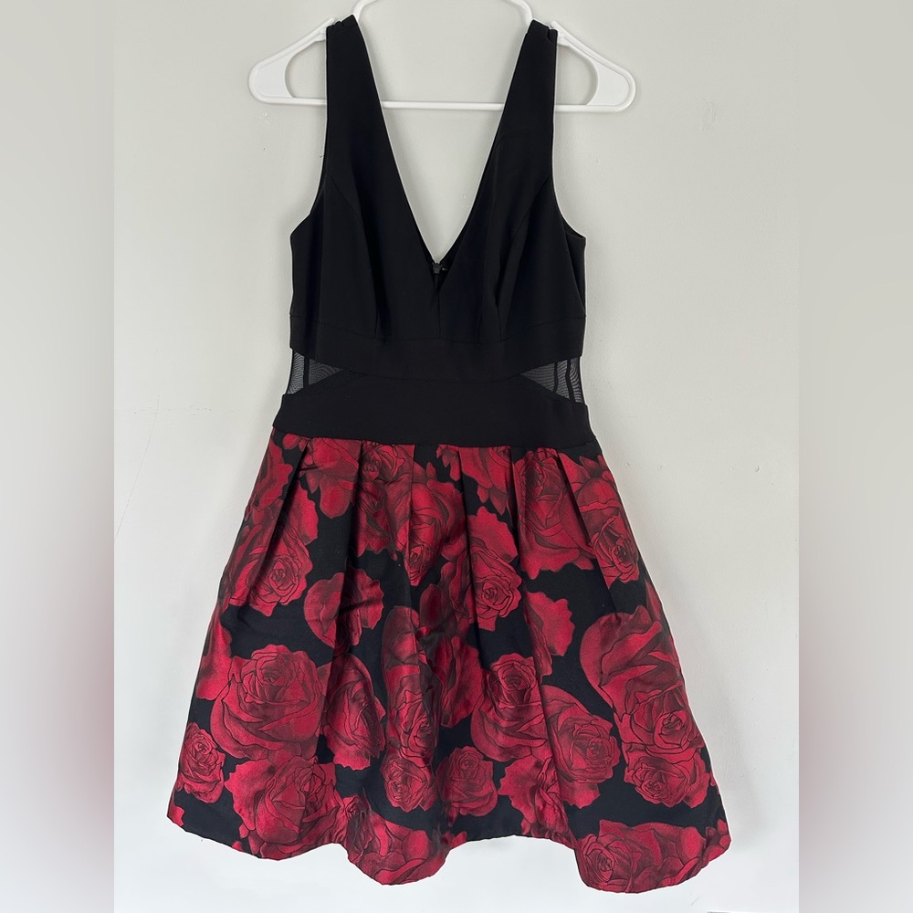Aqua Black and Red Rose Mini Dress